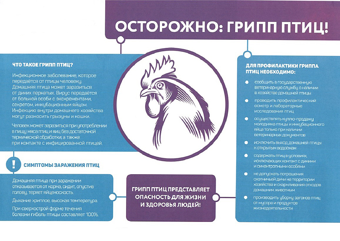 Управление ветеринарии предупреждает.