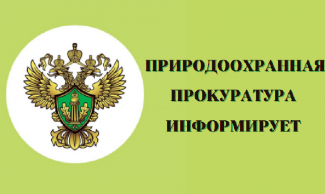 Правила посещения особо охраняемых природных территорий.