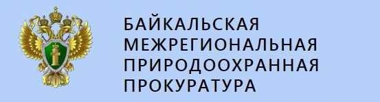 Внесены изменения в Правила использования лесов, расположенных на землях сельскохозяйственного назначения.