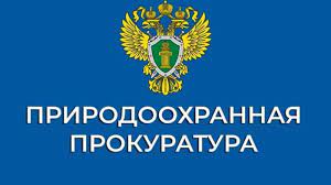 Как приобрести новогоднюю елку, не нарушив закон.